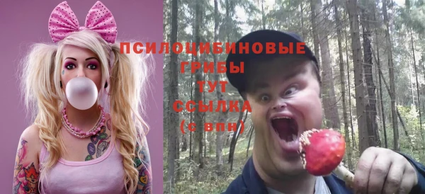 шишки Губаха
