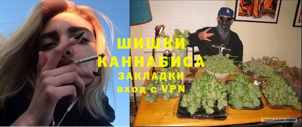 тгк Нея