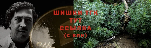 первитин Надым
