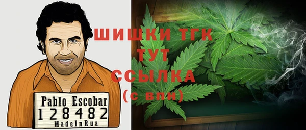 шишки Губаха