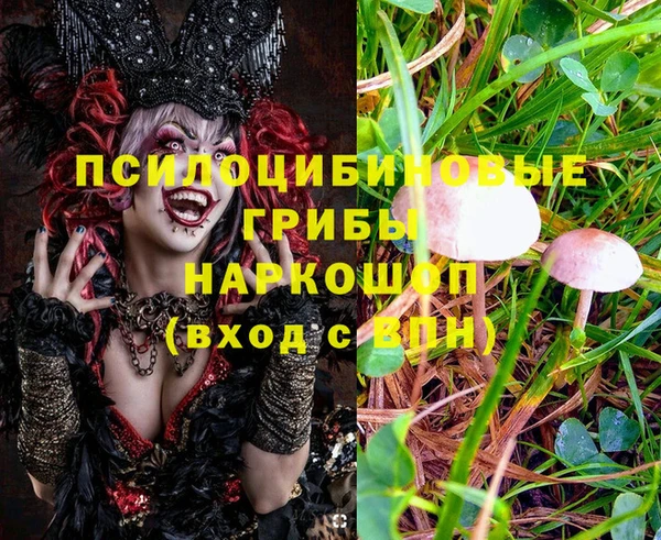 тгк Нея