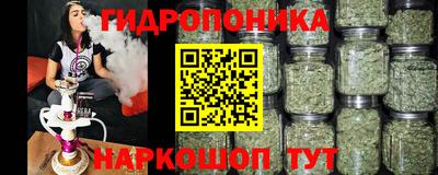 шишки Апшеронск