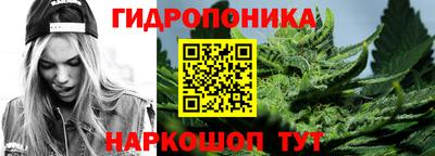 шишки Апшеронск