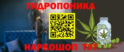 винт Гай
