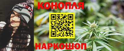 шишки Апшеронск