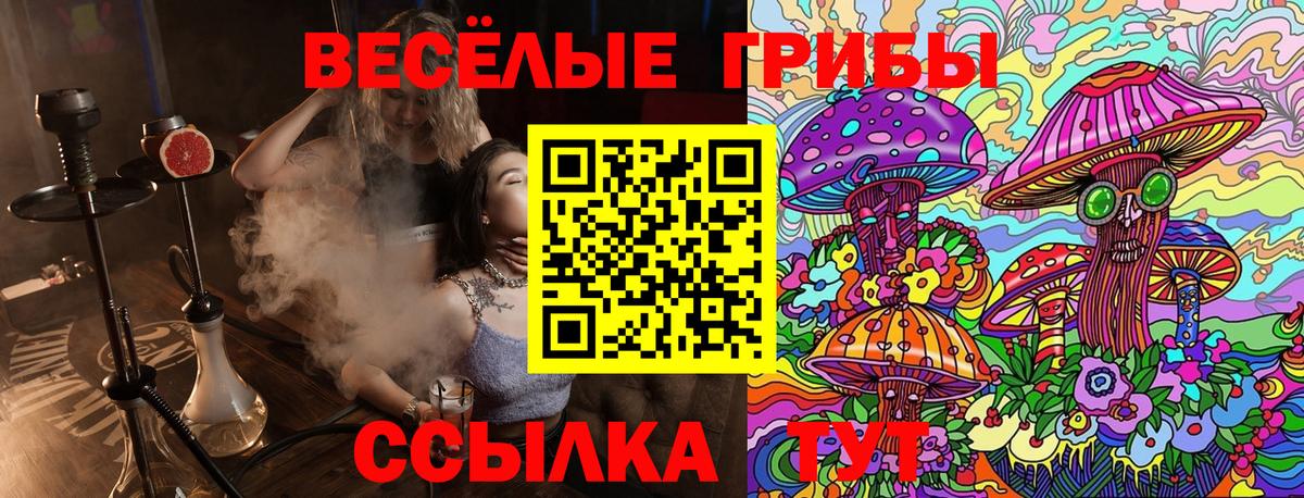 Псилоцибиновые грибы ЛСД Ипатово