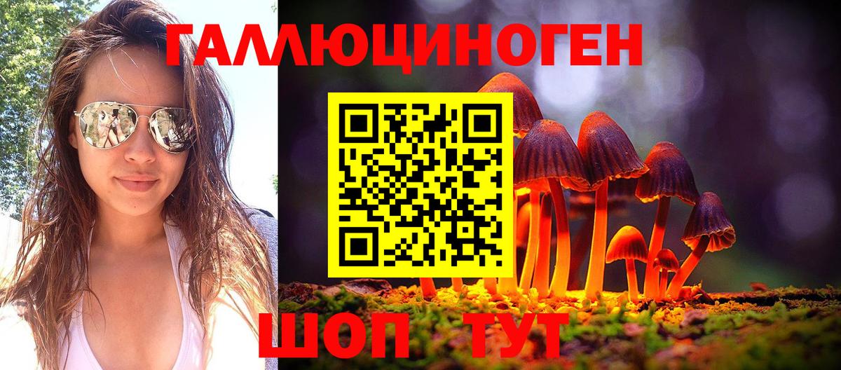 Ипатово  Галлюциногенные грибы прущие грибы  Вход с VPN  Галлюциногенные грибы мицелий 